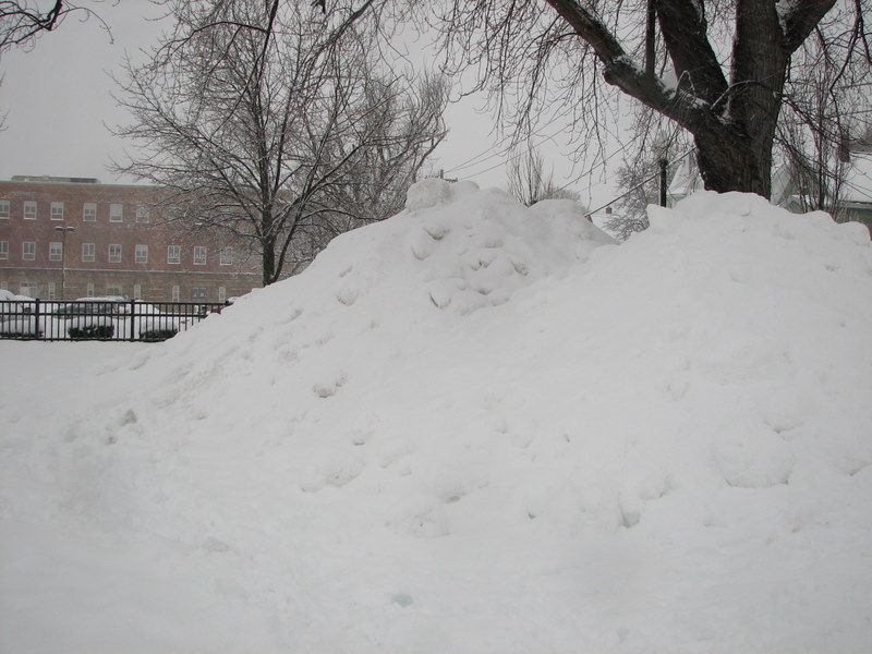 Picture 355.jpg