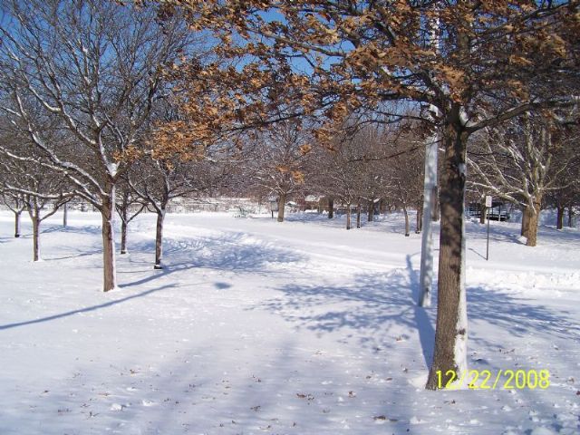9_12_2350301-4.jpg