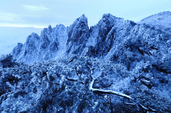 _DSC0003_СС.jpg