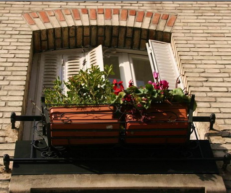 Steet.jpg