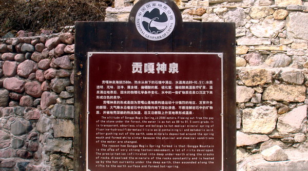DSC00753.jpg