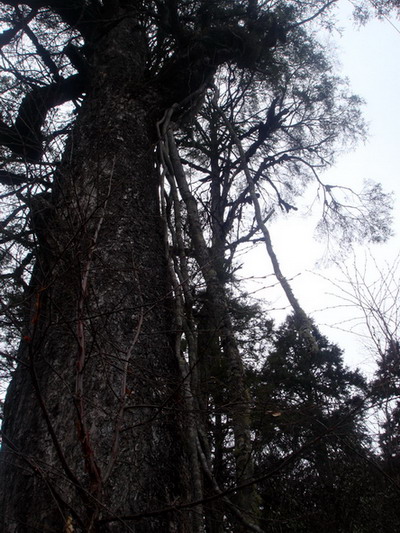 DSC00760.jpg