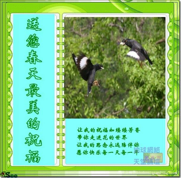 20070417_6af456ce3c82963b1209X7GTFvIJWX3A.jpg