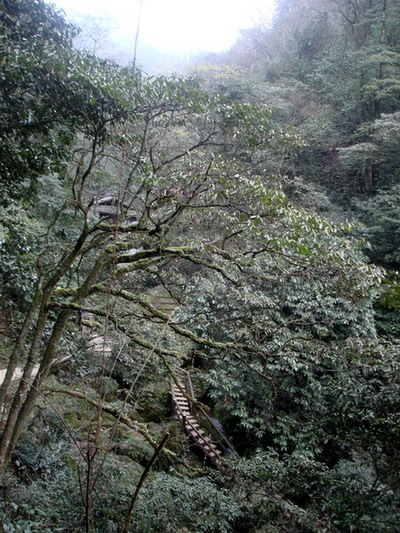 1 (27).jpg