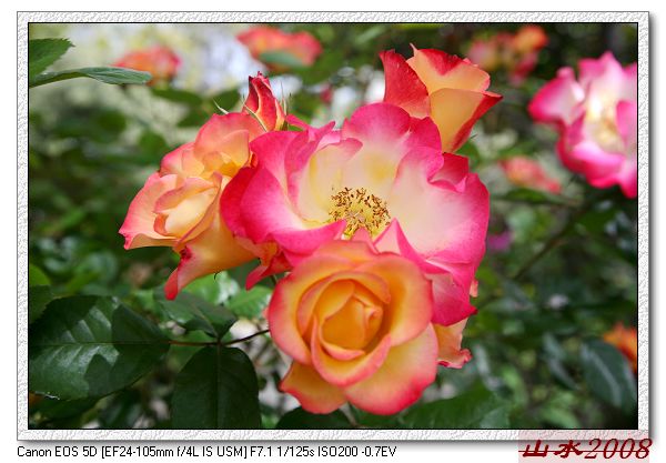 IMG_1334.jpg