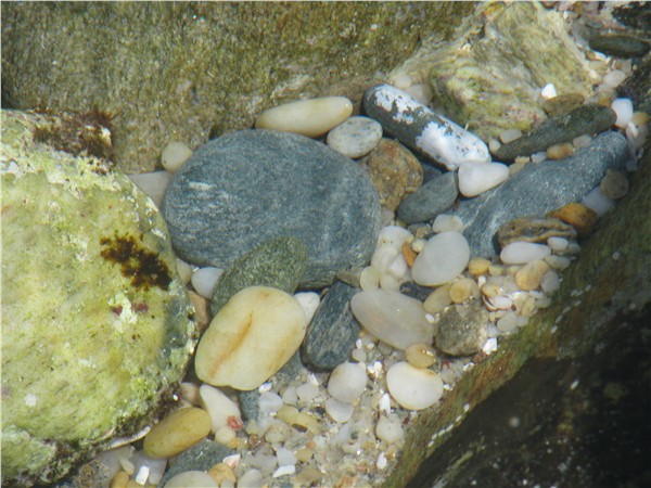 PICer20086251023.jpg