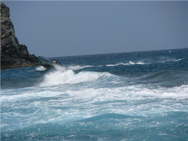 PICer2008625957.jpg