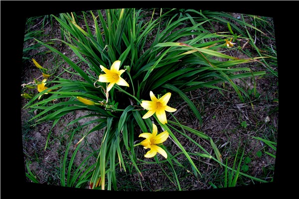 PICer2008630240.jpg