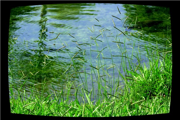 PICer200863074.jpg