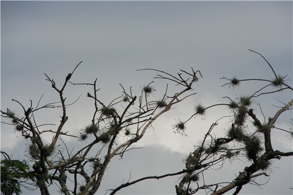 PICer200869645.jpg