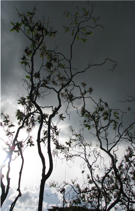 PICer200869655.jpg