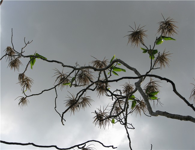 PICer200869657.jpg