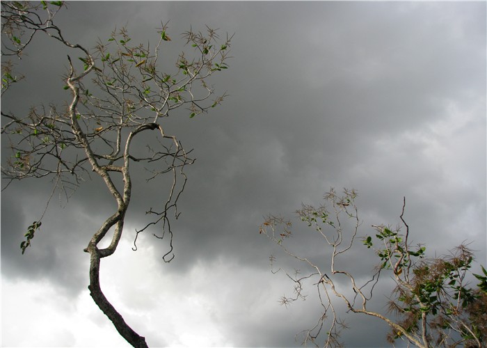 PICer20086972.jpg
