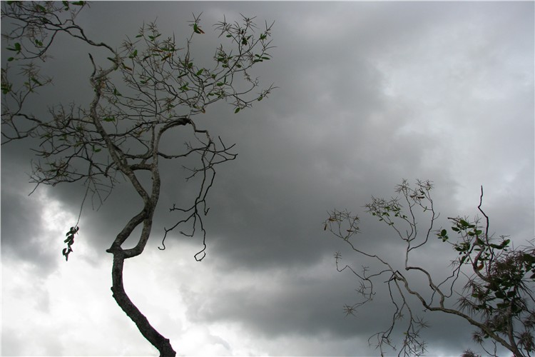 PICer20086973.jpg