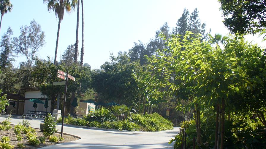 P1010392a.jpg