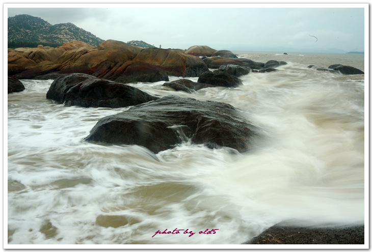 DSC_0087s.jpg