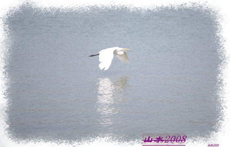 IMG_4086.jpg