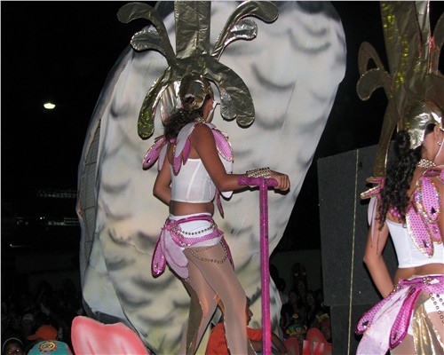 PICer20086171153.jpg