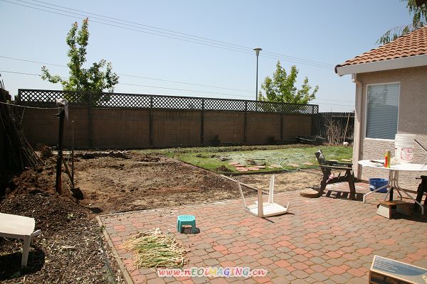 IMG_1229.jpg