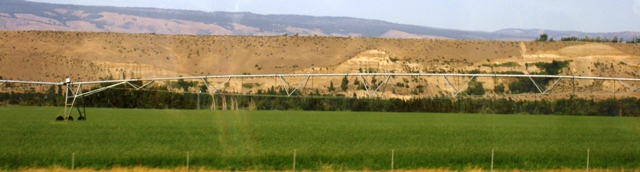 R18.JPG