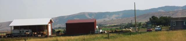R20.JPG