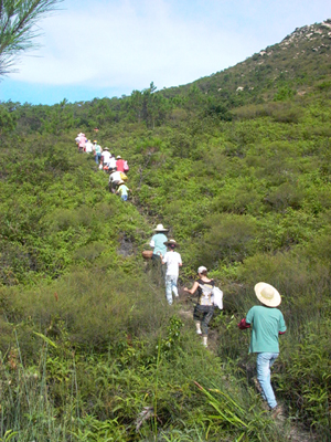 P1020854.JPG