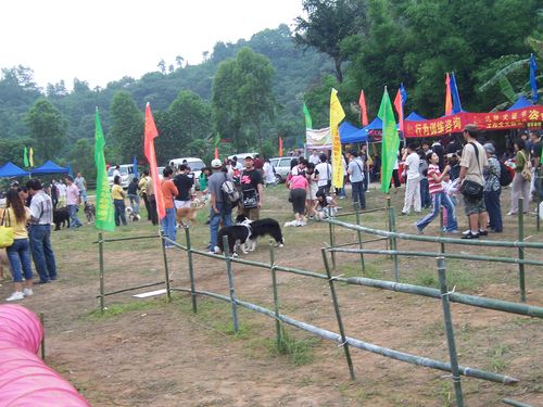 100_6989.jpg