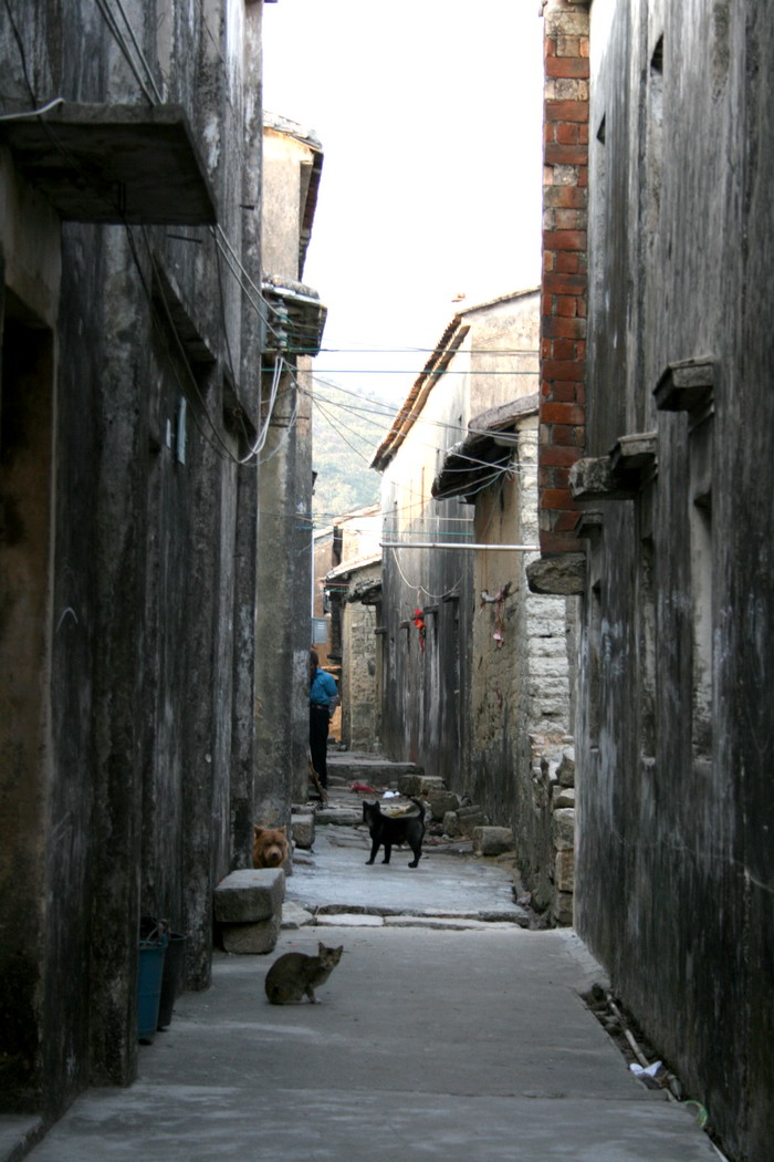 Ƭ 193.jpg