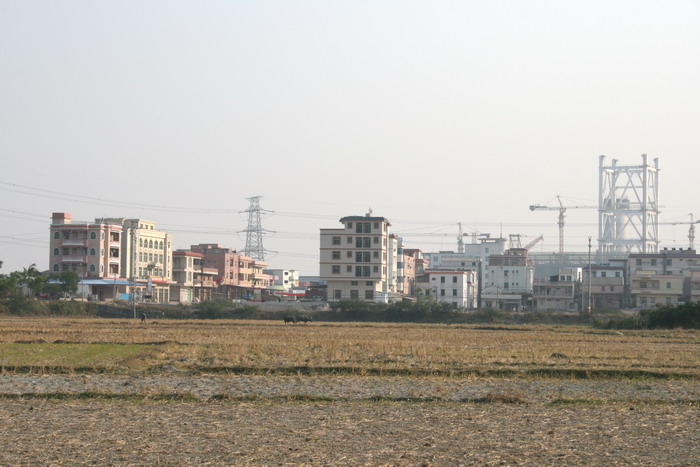 Ƭ 066.jpg
