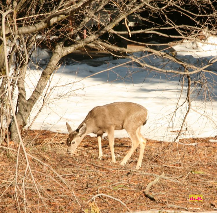 IMG_9167.jpg