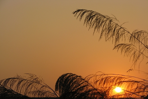 Ƭ 022.jpg