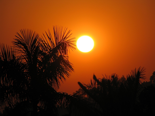 Ƭ 040.jpg