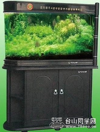 δ1.jpg