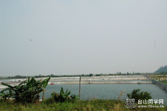 DSC_4360_СС.jpg