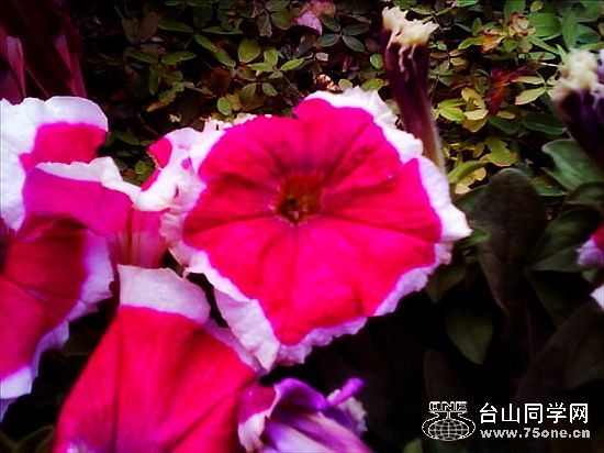 IMG0157A.jpg