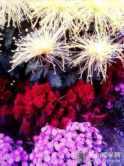 IMG0155A.jpg