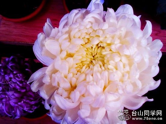 IMG0147A.jpg