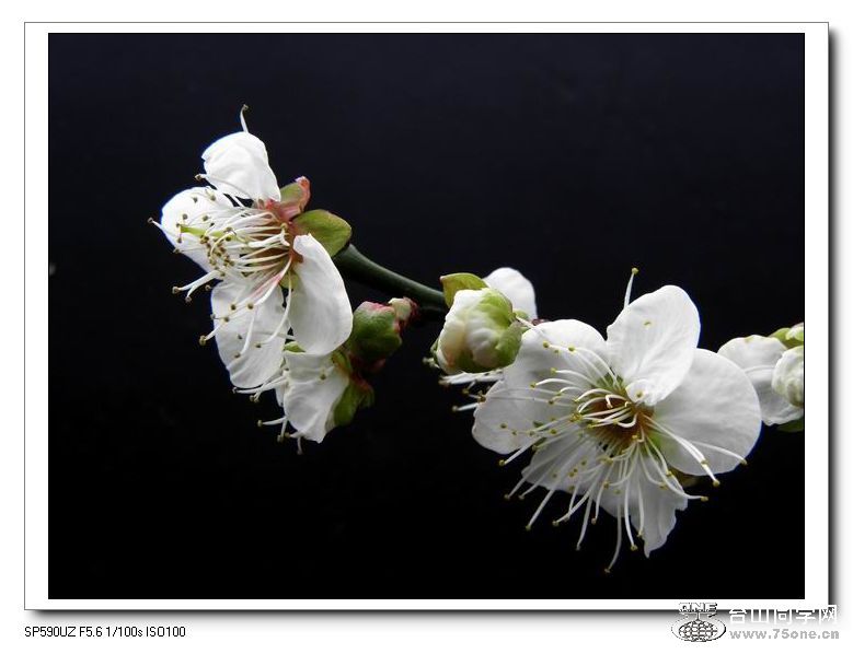 С ع PC200136.JPG