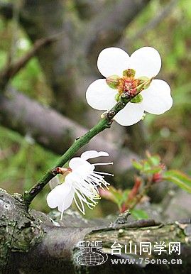 IMG_0077_.jpg