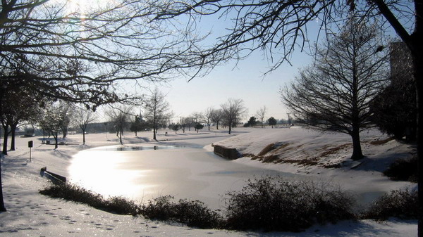 okicr_1280921.jpg
