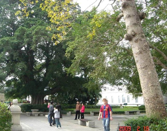 ع С DSC02102.JPG