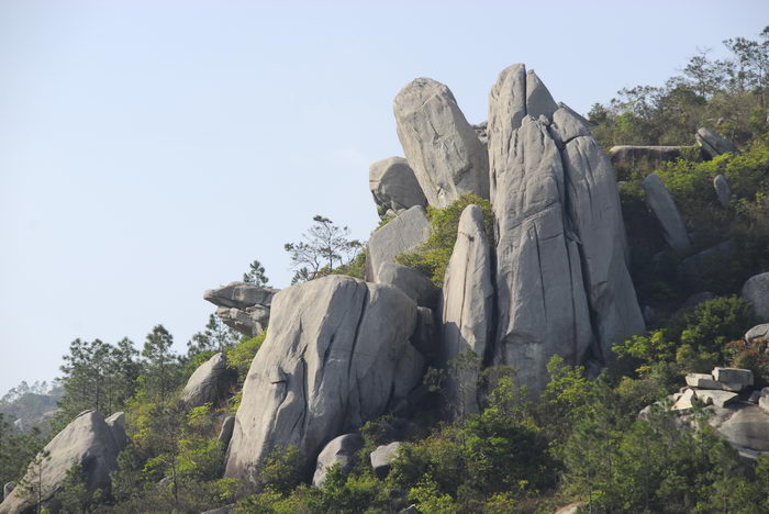 _DSC2446_СС.JPG
