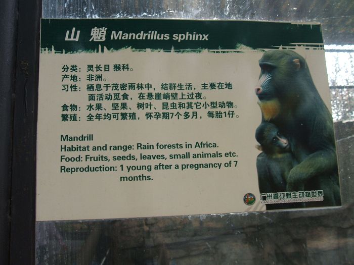 DSCF1674.JPG