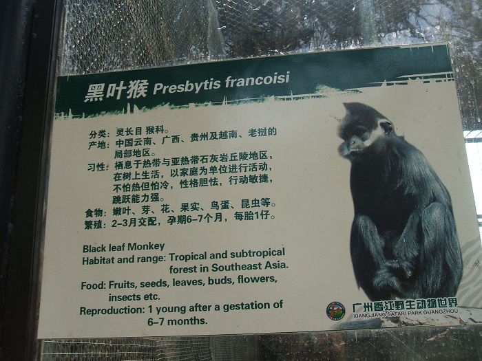 DSCF1665.JPG