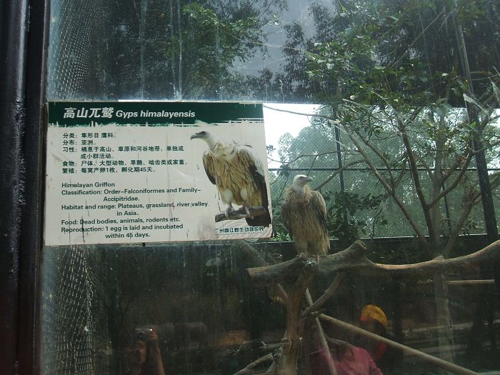 DSCF1575.JPG