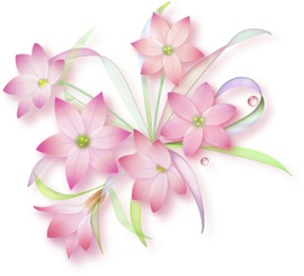pink flower.A.jpg