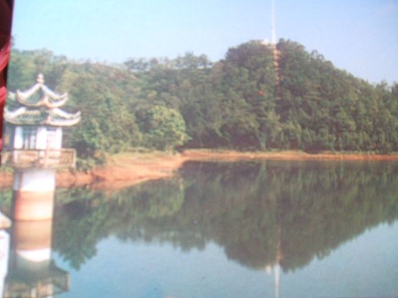 DSCF2054.JPG