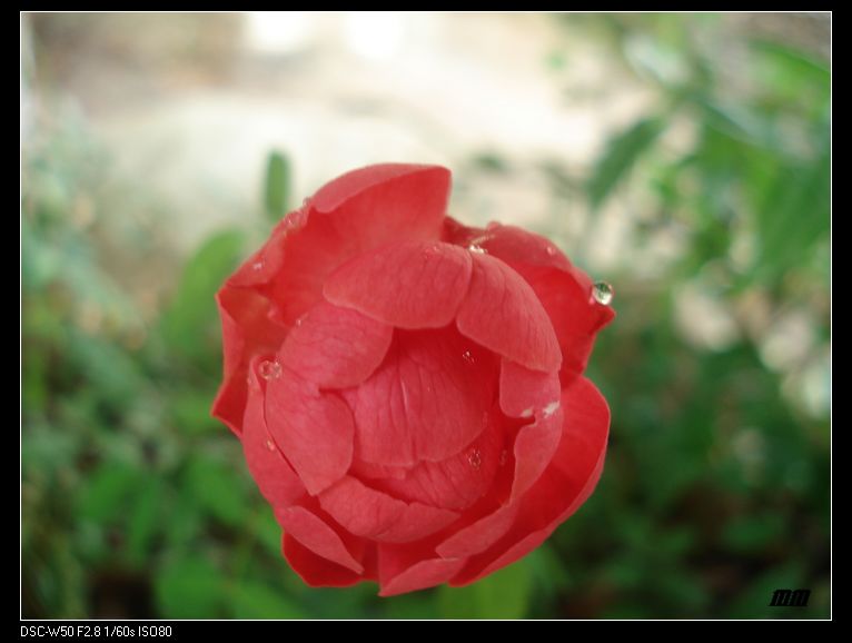 DSC03914.jpg