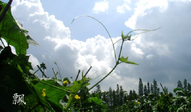 DSC02990_.JPG