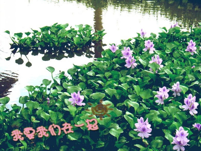 DSC03001_.JPG